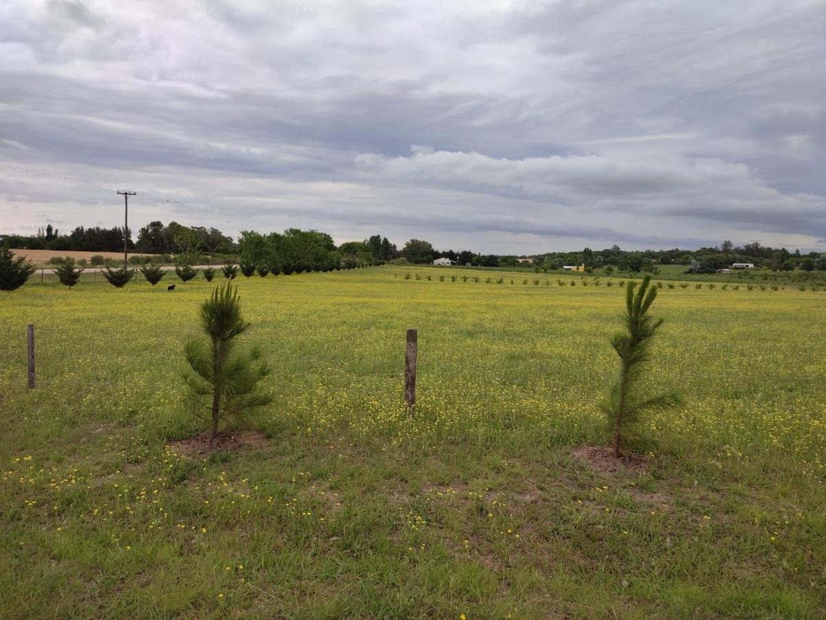 Villa Tierra De Inmigrantes Baradero Esterno foto