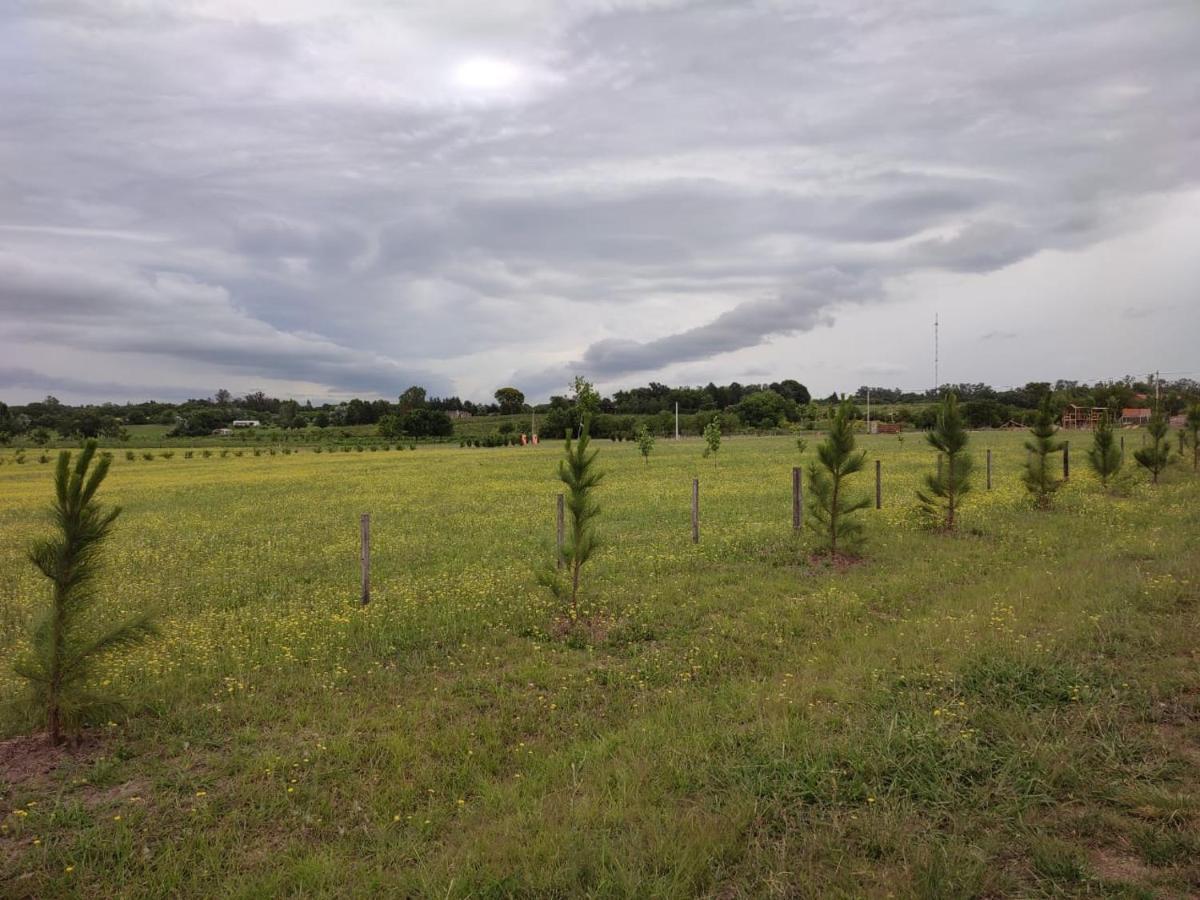 Villa Tierra De Inmigrantes Baradero Esterno foto